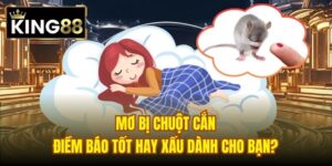 Read more about the article Mơ Bị Chuột Cắn – Điềm Báo Tốt Hay Xấu Dành Cho Bạn?